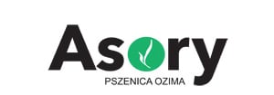 asory logo